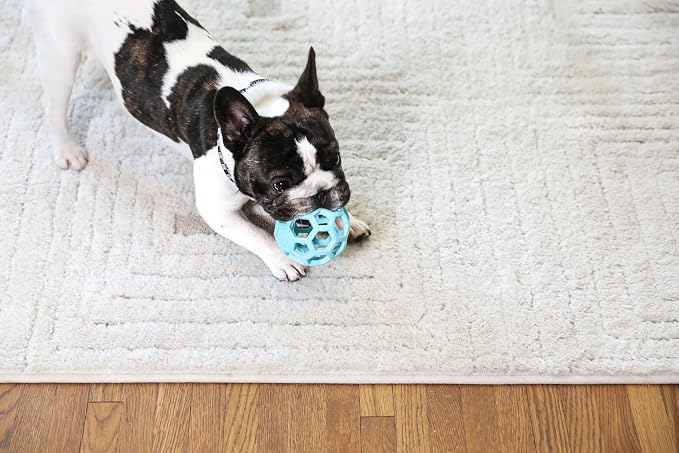 JW Pet HOL-ee Roller, Natural Rubber, Small 3in, Blue | Puzzle Ball Design Dog Toy for Interactive Play and Chasing Fun
