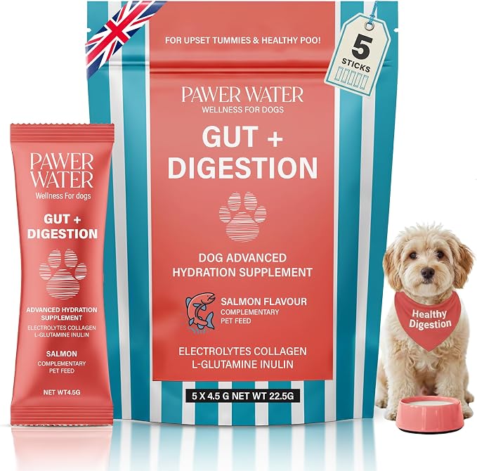 Dog Gut Health Supplement with Salmon Oil, Prebiotics & Probiotics | Digestion Support Powder for Dogs | Sensitive Stomach, Loose Stool & Gas Relief | Natural Hydration Drink Mix