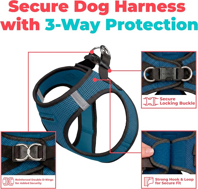 Voyager Step-in Air Dog Vest Harness - Blue/Black Trim, X-Small | 13 - 14.5" in Chest, Reflective Bands, All Weather Breathable Air Mesh, Cats Compatible, Lightweight, Fast Drying