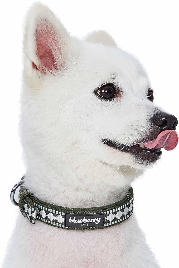 Blueberry Pet Reflective Jacquard Dog Collar with Neoprene Padding & Metal Buckle | Soft & Adjustable Safety Collar - Olive, Neck 9-12.5", for Small Breed