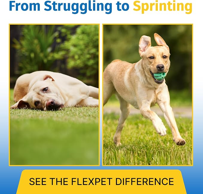 Hip & Joint Supplement for Dogs & Cats with Cetyl Myristoleate, Glucosamine, Collagen, MSM - Max Strength Joint Support for Mobility, Senior Pets, Large Breeds - 180 Soft Chews (Bacon/Cheese)