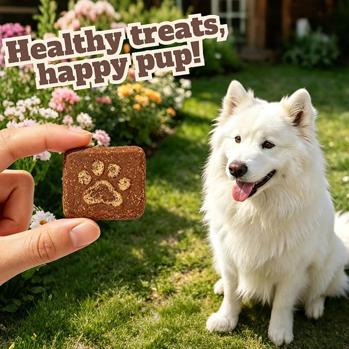 Wellix Turkey Tail Dog Treat for Immune Support, Crunchy Dog Biscuit 1.21lb
