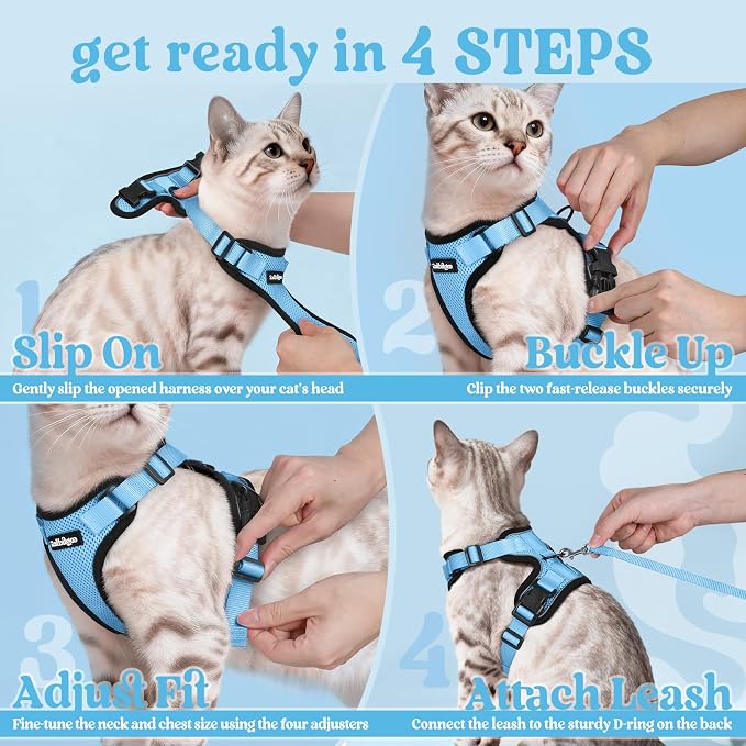 rabbitgoo Cat Harness and Leash Set, Escape Proof Vest, Light Blue | Soft Breathable Mesh, Easy Adjustable Fit, Snap Buckles, Sturdy Clip, Reflective Strips, for Average Cats Walks, S