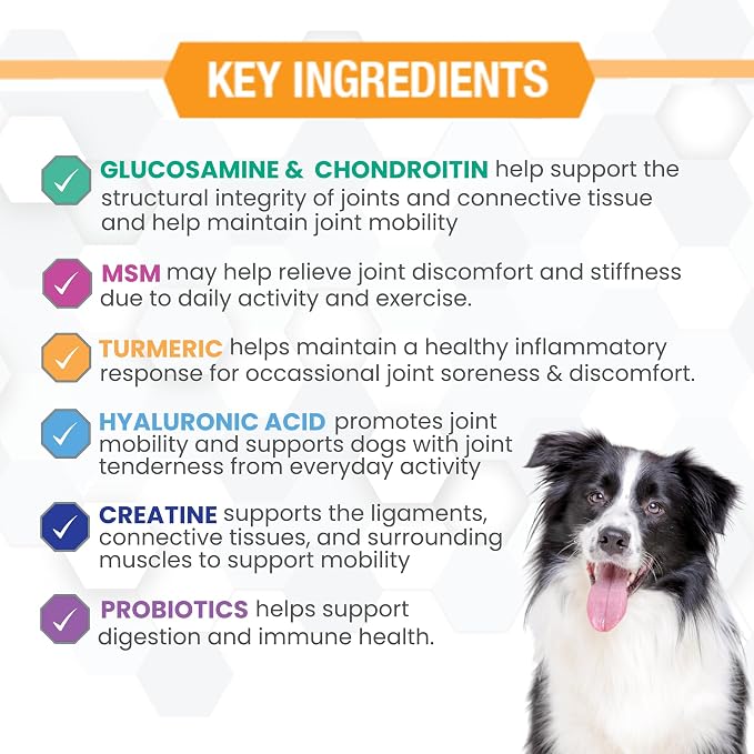 Progility Hip & Joint Glucosamine Supplement for Dogs, Hyaluronic Acid
