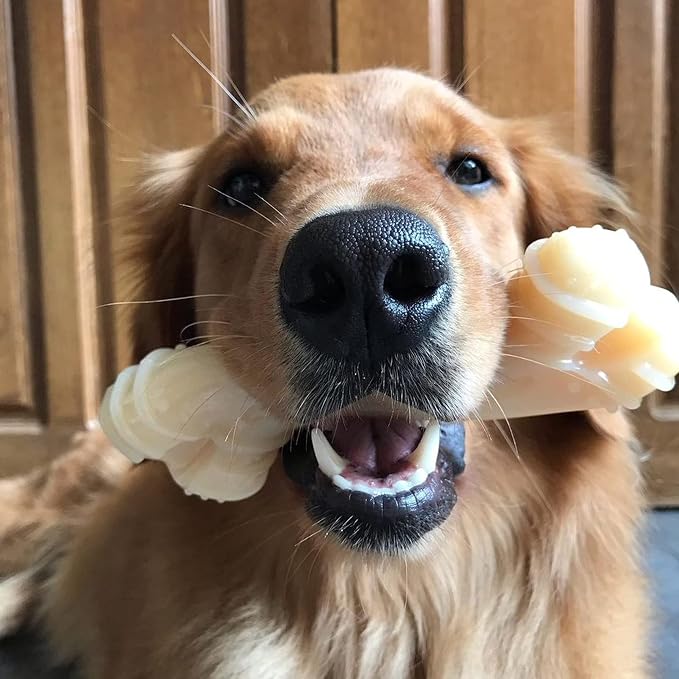 Nylabone Power Chew Curvy Dental Bone Dog Chew Toy, Large | Peanut butter flavor, durable dog toys for aggressive chewers, long lasting, teeth-cleaning textures, for dogs up to 50 lbs