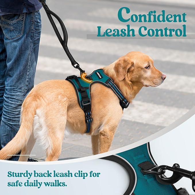 rabbitgoo Dog Harness, No Pull Medium Sized with 2 Leash Clips, Pet Vest | No Choke with Handle, Adjustable Soft Padded, Reflective, Easy Control for Walking, Blue Coral, Medium