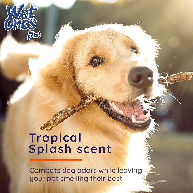 Wet Ones for Pets Multipurpose Dog Wipes with Aloe Vera, Tropical Splash Scent - Extra Large Pet Bathing Wipes with Wet Lock Seal for Paws and All-Over Use, 10 Count
