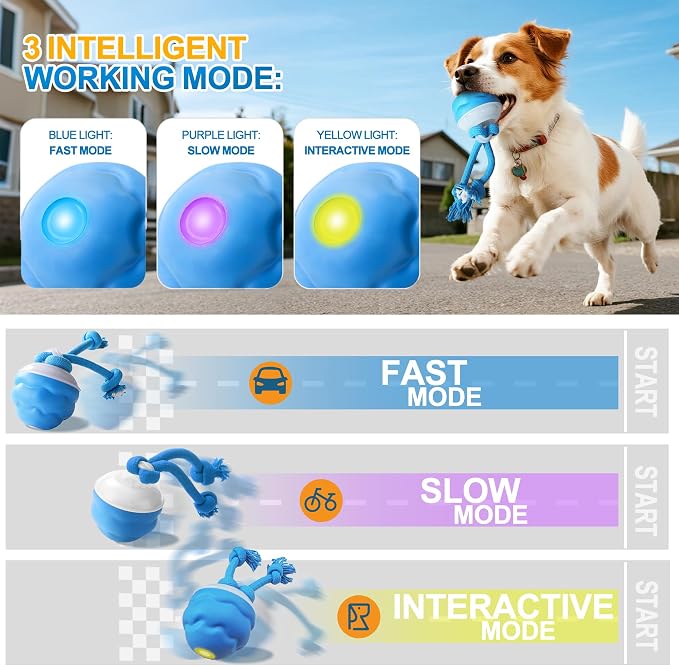 Interactive Dog Ball, Blue USB-C Rechargeable Rolling Toy | Touch activation starts rolling and chirping play modes for supervised indoor sessions