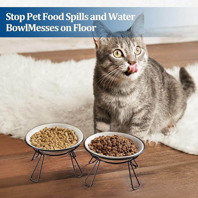 Cat Bowls, Elevated Bowl, Raised Ceramic Dish with Metal Stand, Pet Water or Food Feeding Station for Indoor Cats, Kitten, Puppies and Small Dogs(2 Pack)