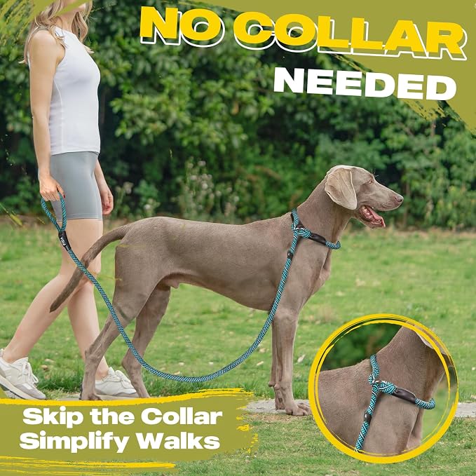 Fida Durable Slip Lead Dog Leash, 6 FT x 1/2" Heavy Duty Loop Comfortable Strong Rope Lead for Large, Medium Dogs, No Pull Pet Training with Highly Reflective, Blue (Pack of 2)