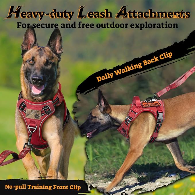 rabbitgoo Tactical Dog Harness Medium Sized, No Pull Service Pet Vest | Military Molle System & Easy Control Handle, Adjustable and Reflective for Walking and Training, Red, Medium
