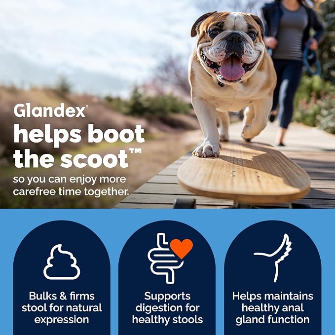 Glandex Beef Liver Anal Gland Support Powder 4oz & Glandex Anal Gland Hygienic Pet Wipes 75ct Bundle, Anal Gland Powder for Dogs with Pumpkin & Fiber, Scented Dog Cleaning Wipes for Anal Glands