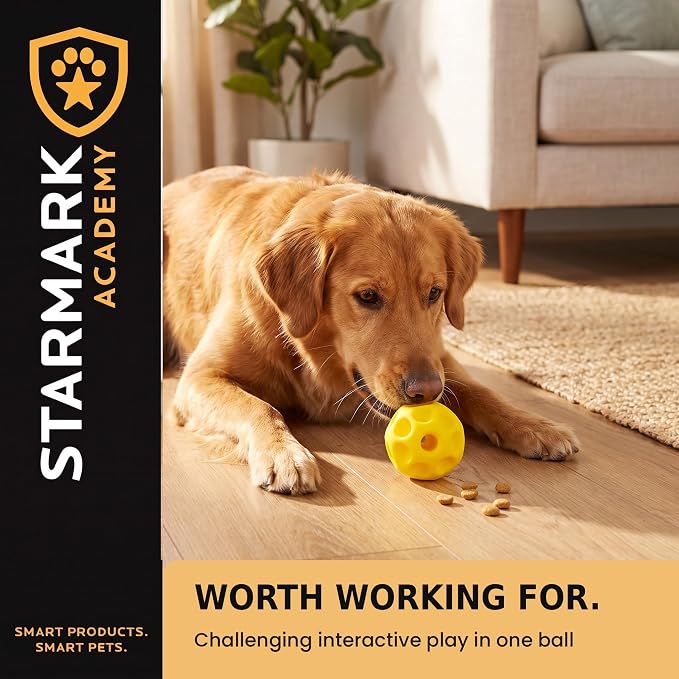 Starmark Treat Dispensing Tetraflex Dog Toy Large