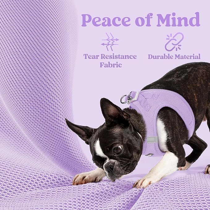 rabbitgoo Step-in Small Dog Harness, Puppy Vest for Small Sized Pet | Easy Put on and off, Lightweight, Soft, Breathable Quick-Dry Air Mesh for Comfortable Secure Walking, Light Purple M
