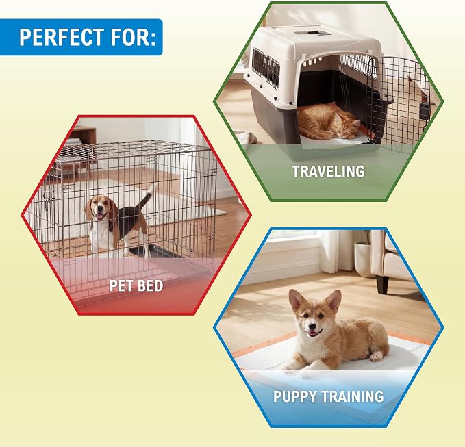 MED PRIDE Dog Training Pads with Attractant, 5 Count Travel Pack Puppy Pee Pads, 22 x 24 Inch Disposable Portable Potty Pads, Leakproof Waterproof Pet Pads for On-The-Go Use