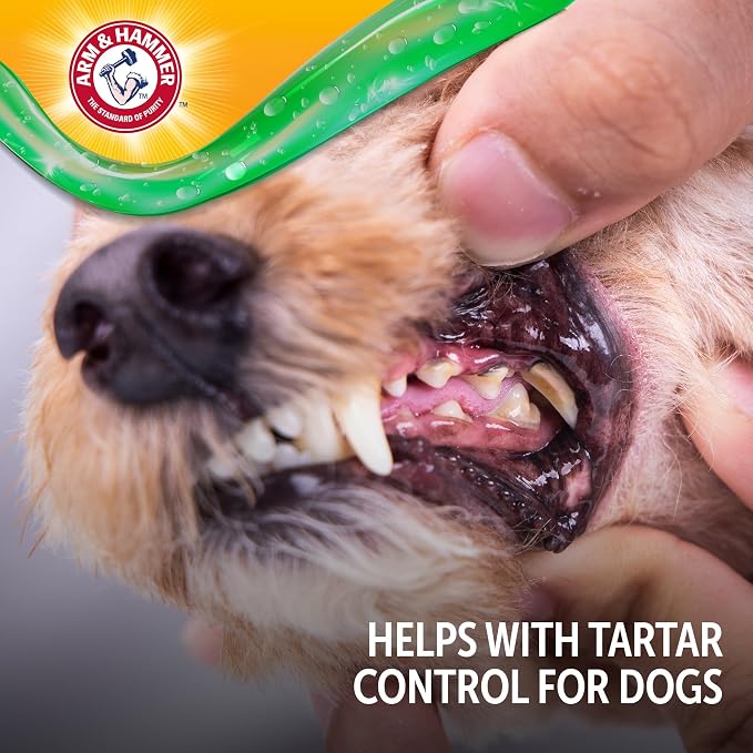 Arm & Hammer Complete Care Brushless Oral Dog Gel, Peanut Butter, 4 Oz | Rub-on formula, no brushing required, baking soda enhanced, freshens breath, controls tartar daily use