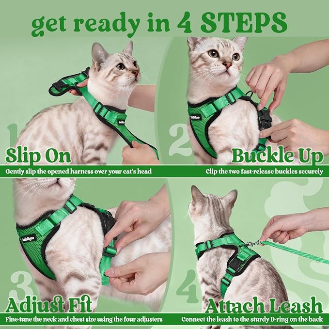 rabbitgoo Cat Harness and Leash Set, Escape Proof Vest, Grass Green | Soft Breathable Mesh, Easy Adjustable Fit, Snap Buckles, Sturdy Clip, Reflective Strips, for Small & Average Cats Walks, Xs