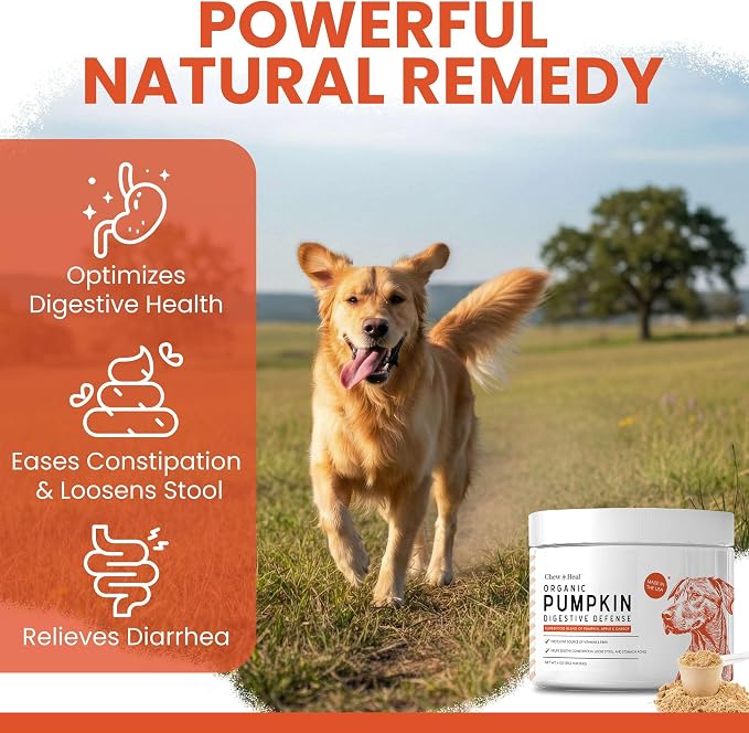 Organic Pumpkin Powder for Dogs, 4 oz w/ 5 cc Scoop for Digestive Support