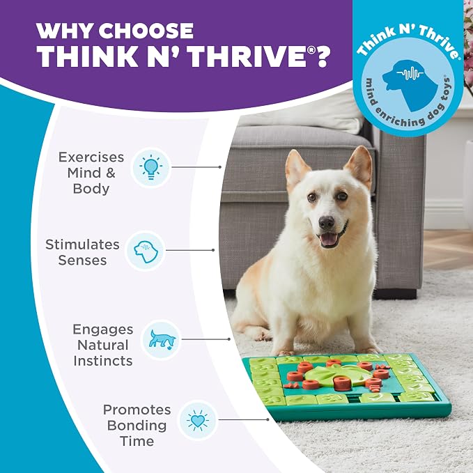 Outward Hound Nina Ottosson MultiPuzzle Dog Toy Treat Puzzle, 15" | Level 4 Expert, 28 Hidden Treat Compartments, Holds 1 Cup Kibble or Treats, Easy Clean, No BPA, Enrichment, Dogs & Puppies