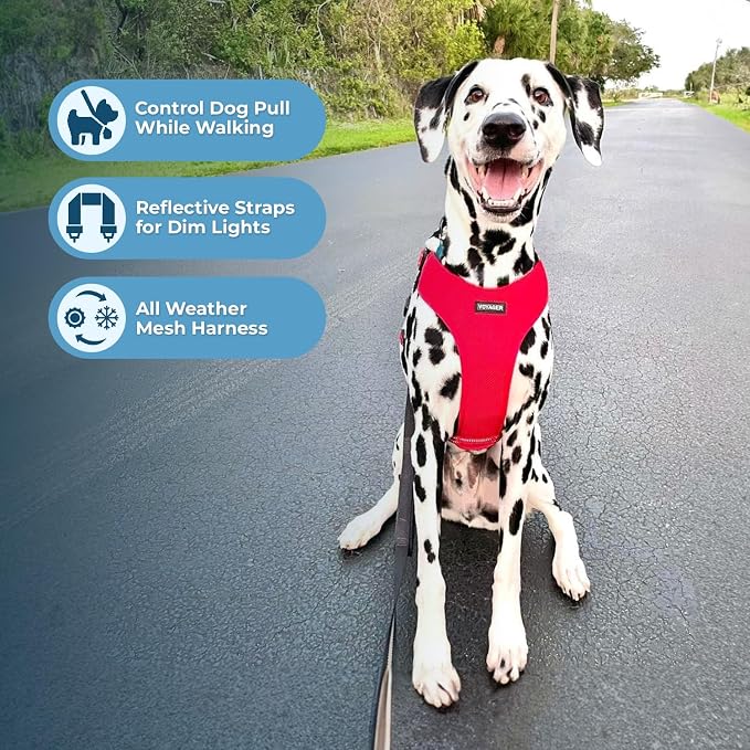 Air Frontier Mesh Dog Harness with Steel Leash D-Ring, Reflective Stitching, and Lightweight Breathable No-Pull Design, Adjustable Neck and Chest Straps for Small to Large Breeds - RDW, XS
