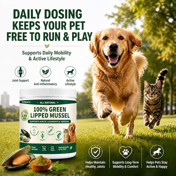 Pure Green Lipped Mussel Powder for Dogs & Cats – 100% Natural Hip & Joint Supplement Powder Supports Joints, Tendons, Ligaments & Muscles – 75 Grams – Up to 375 Servings