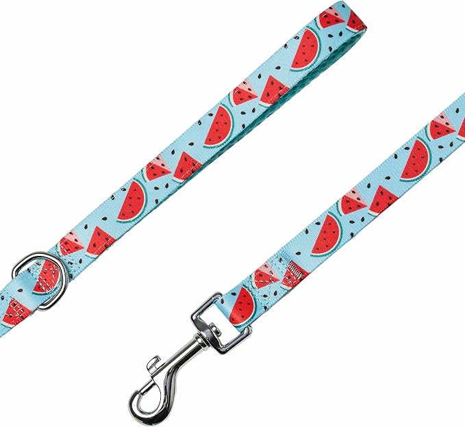 Blueberry Pet Summer Sparkle Dog Leash, Large Size, 4 ft x 1", Blue, Zesty Fruit Watermelon Print Pet Leash