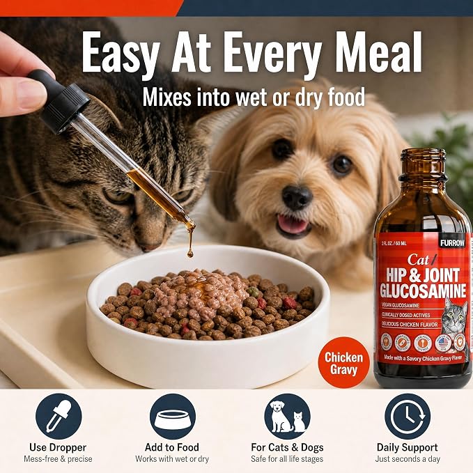 Furrow Liquid Glucosamine for Cats and Small Dogs — Hip & Joint Supplement with MSM, Chondroitin, Taurine & Hyaluronic Acid, Chicken Gravy Flavor — Joint Support for Pets Under 22 lbs