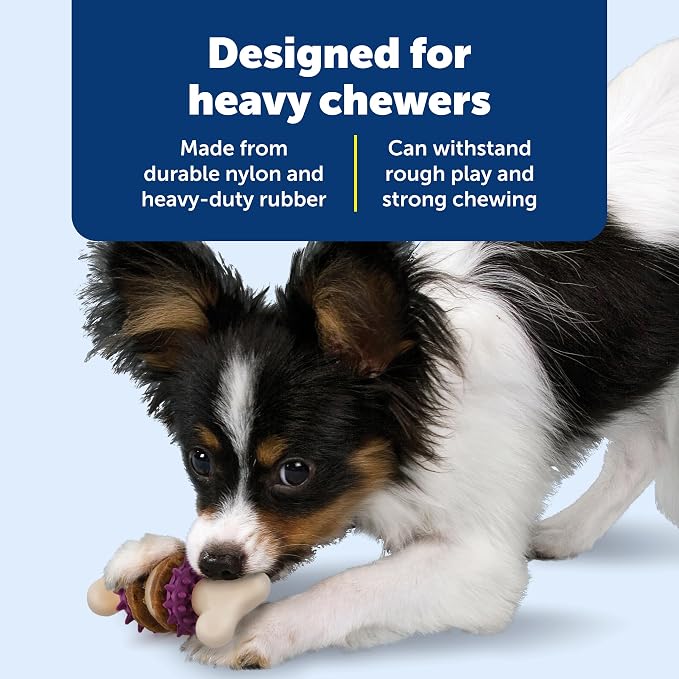 PetSafe Busy Buddy Bristle Bone Dog Treat Holding Chew Toy, Extra Small | Toothbrush-In-A-Toy Design Helps Clean Teeth While Dog Chews, Holds Treat Rings, Durable, Interactive Play, Dogs Under 10 Lb