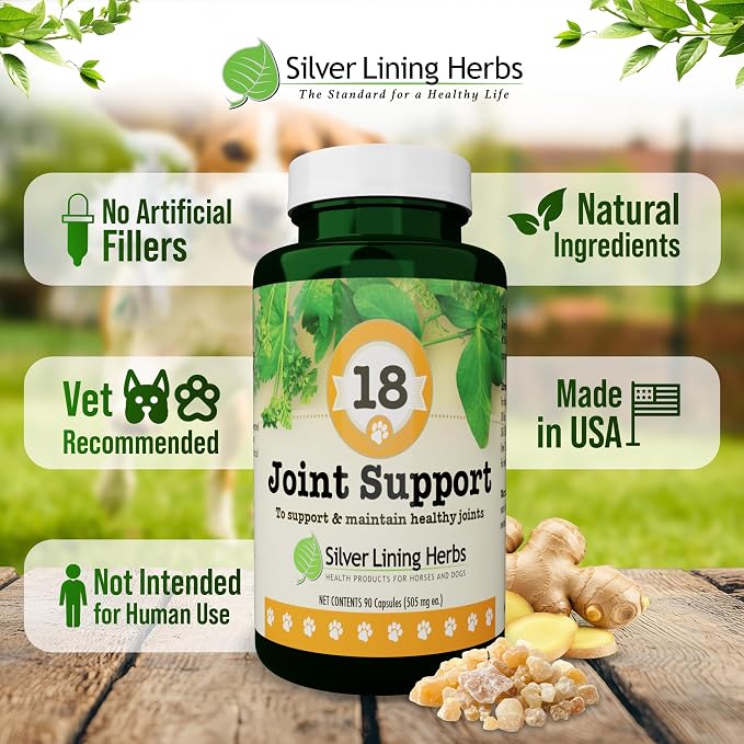 Silver Lining Herbs Dog Joint Supplement, Mobility & Comfort - 90 Ct
