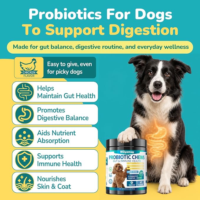 Woyamay Probiotics for Dogs, Dog Probiotics Chews, Gut & Digestive Support