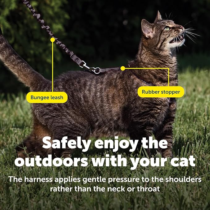 PetSafe Come With Me Kitty Harness and Bungee Leash, Harness for Cats, Medium, Black/Silver, CWMK-M-BLK | Adjustable 2-Point Fit Applies Gentle Pressure to Shoulders, Not Neck, for Small & Average Cats with 10.5 in - 14 in Girth