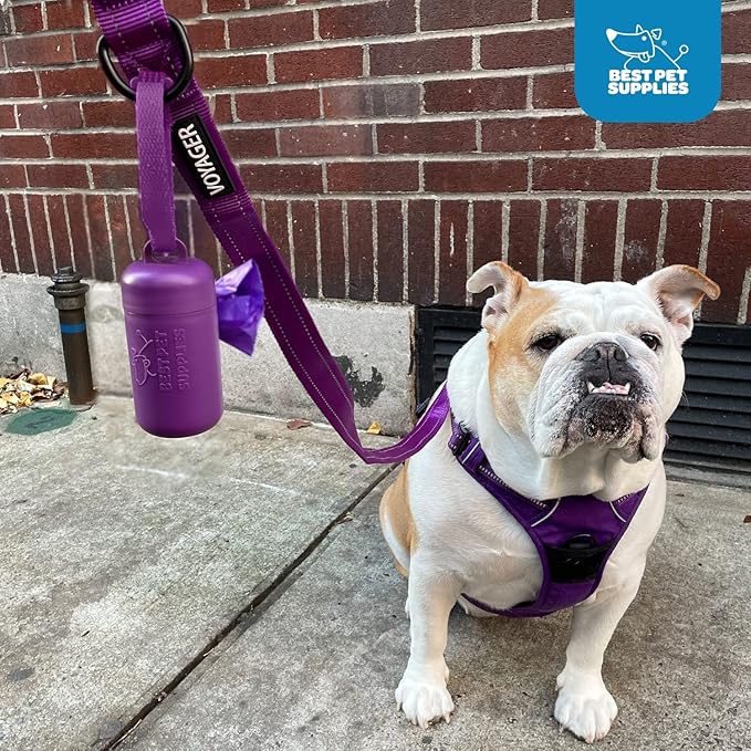 Best Pet Supplies Dog Poop Bag Holder Leash Attachment with 30 Bags, Reusable Dispenser for Travel, Walking, Park, and Outdoor Use, Durable with Clip-On - Turquoise, Pack of 2