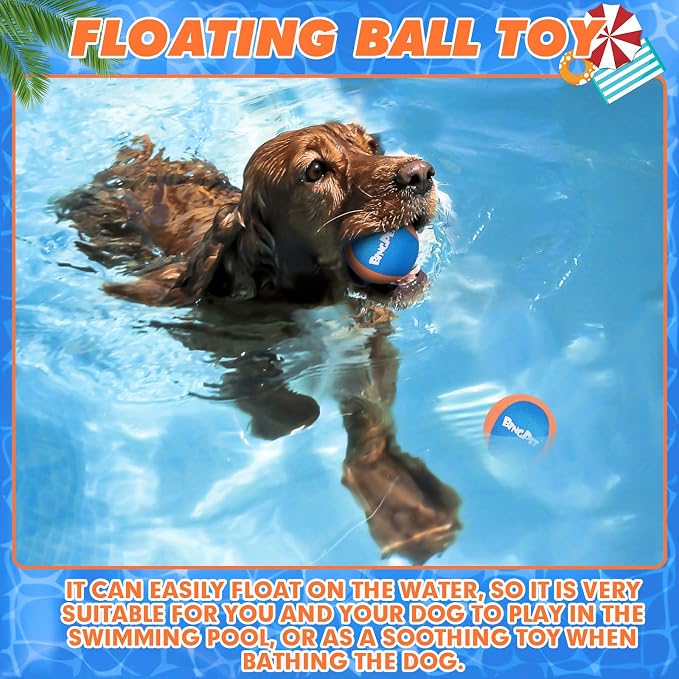 BINGPET Dog Pool Toy Floating Balls, 2-Pack, Orange
