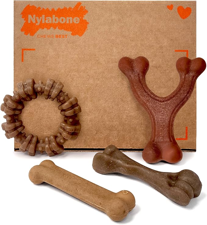 Nylabone Strong Chew Dog Toy 4-Pack, Durable Chew Toys, Small Dogs | Dog toys for aggressive chewers, made with real bacon, bison, venison, beef and chicken, for small breed dogs up to 25 lbs