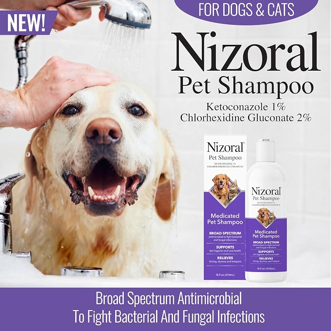 Nizoral Ketoconazole Pet Shampoo, 16 Oz, Chlorhexidine, Dogs & Cats | 1% Ketoconazole and 2% Chlorhexidine Gluconate treatment, antifungal, antimicrobial support for skin health and odor control