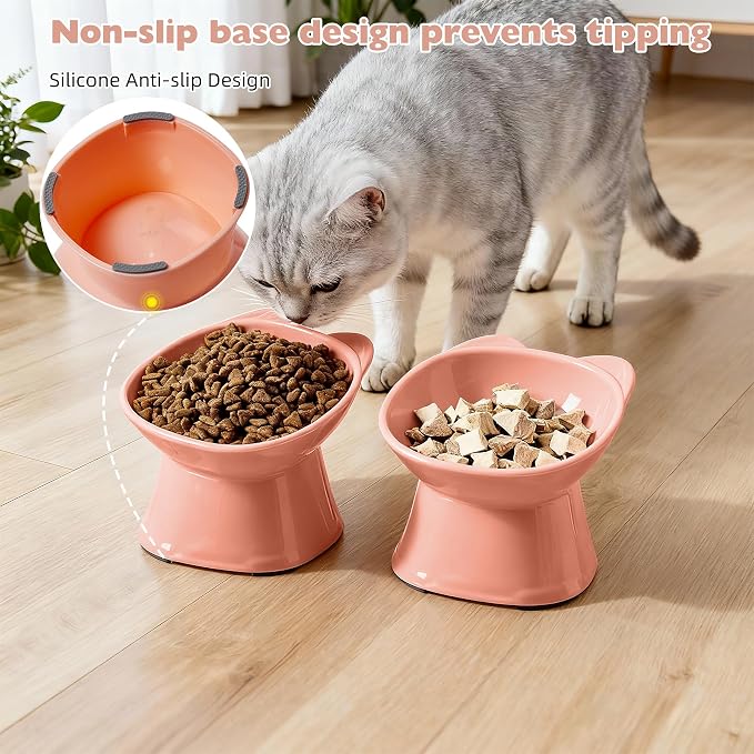 KSIA Klear Elevated Cat Bowls 2 Pack, Tilted Raised Cat Bowl for Food and Water, 4.72" Wide, Whisker Friendly Anti Vomit for Indoor Cats, Microwave and Dishwasher Safe, Pink