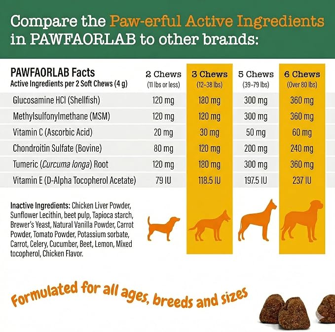 Hip & Joint Supplement for Dogs - Glucosamine, Chondroitin, MSM, Green Lipped Mussels & Turmeric - Natural Arthritis Pain Relief & Mobility Support for All Ages - 200 Soft Chews