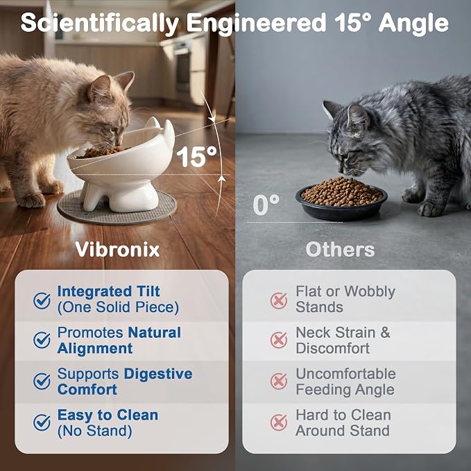 2 Pack Anti-Vomit Elevated Slow Feeder Cat Bowls with 2 Non-Slip Mats – Ceramic Whisker-Friendly Tilted Orthopedic Feeding Set, Ideal for Senior Cats & Small Dogs