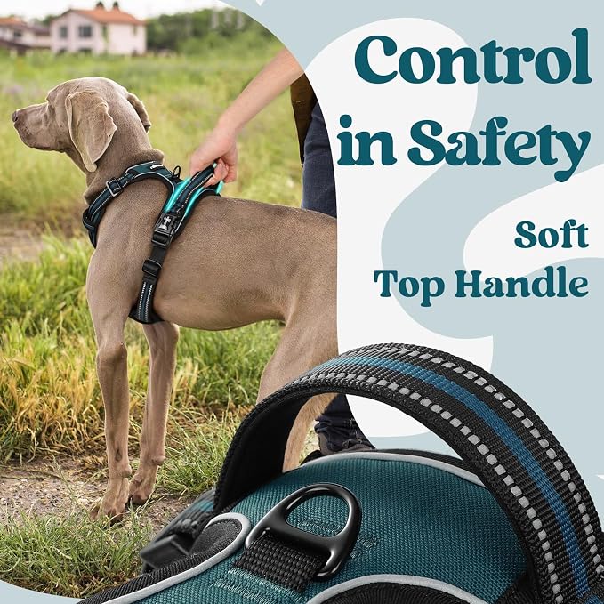 rabbitgoo Dog Harness for Large, Updated Easy On & Off with 3 Buckles | No Pull No Choke, Walking with 2 Clips and Handle, Adjustable Soft Reflective, Blue Coral, Large