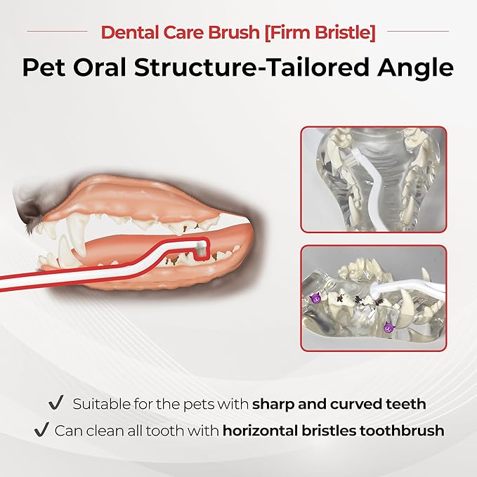 JAYU PET Dental Care Brush, Firm Bristles, 1ea | Resilient Dog Toothbrush, Cat Toothbrush, Tartar & Plaque Removal, Horizontal Head, S-Curved Body