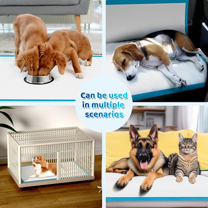 Upgrade Leak-Proof Pet Training and Puppy Pads, Jumbo Pee Pads for Dogs with Thicken Polymer Heavy Absorbency, Quick Dry Disposable Pee Pads for Cats Dogs (30, Regular 30''x36'')