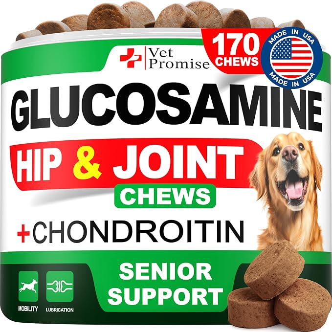 Glucosamine for Dogs - 170 Chews - Senior Hip and Joint Supplement for Dog