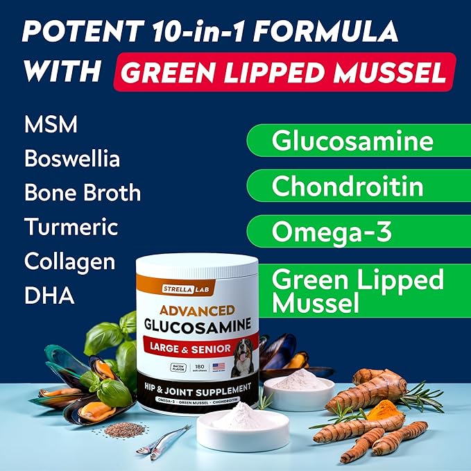 STRELLALAB Senior Advanced Glucosamine Joint Supplement for Dogs - Green Lipped Mussel & Collagen - Large Breeds - Hip & Joint Health - Bacon Flavor - 180 Chews