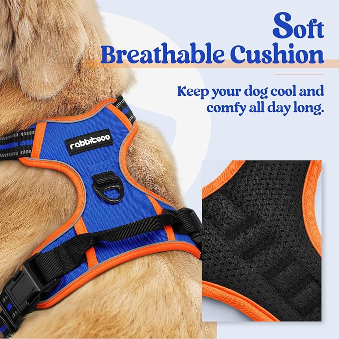 rabbitgoo Dog Harness, No Pull for Small Dogs with 2 Leash Clips, Pet Vest | No Choke with Handle, Adjustable Soft Padded, Reflective, Easy Control for Walking, Blue & Orange, Small