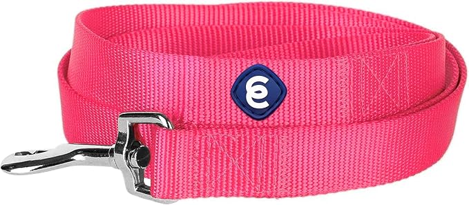 Blueberry Pet Essentials French Pink Dog Leash for X-Small -5' * 3/8" Dogs | Heavy Duty Nylon Lead | Lightweight Puppy & Cat Leash for Walking & Training
