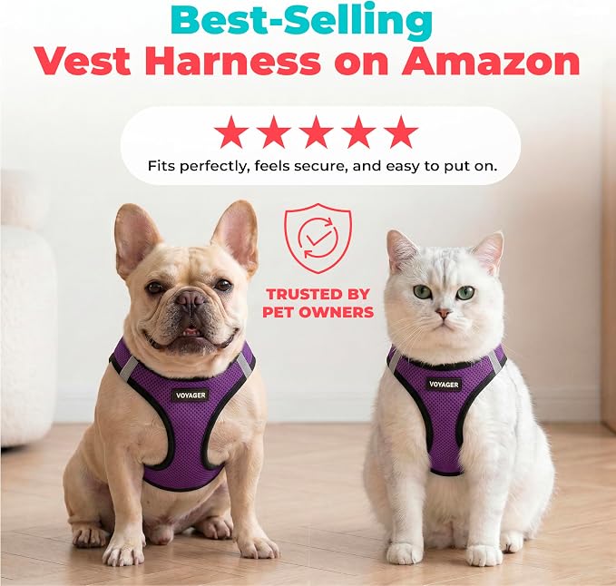 Voyager Step-in Air Dog Vest Harness - Purple/Black Trim, Medium | 16 - 18" in Chest, Reflective Bands, All Weather Breathable Air Mesh, Cats Compatible, Lightweight, Fast Drying