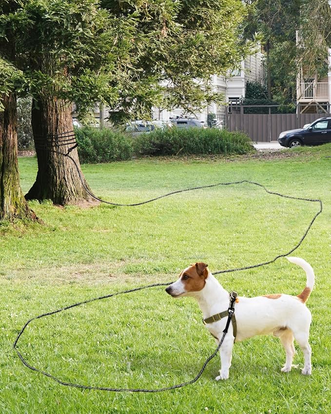 Taglory Long Dog Leash with Removable Padded Handle Tie Out, 15/30/50/66FT Heavy Duty Training Leash with 2 Swivel Hooks for Large Medium Small Dogs Camping, Hiking, Walking, Backyard, Black, 50FT