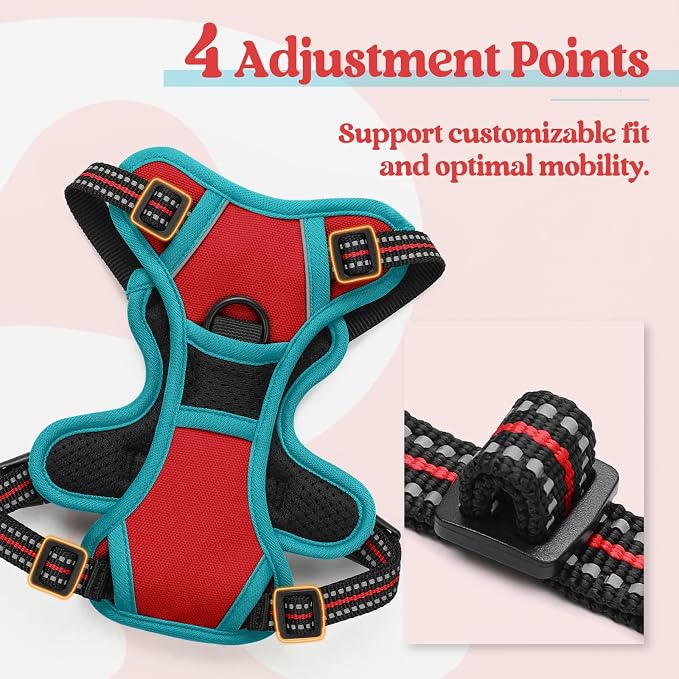 rabbitgoo Dog Harness, No Pull for Small Dogs with 2 Leash Clips, Pet Vest | No Choke with Handle, Adjustable Soft Padded, Reflective, Easy Control for Walking, Red & Teal, X-Small
