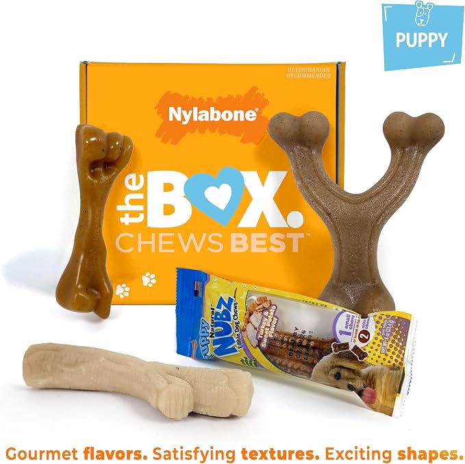 Nylabone Puppy Gift Box, Strong Chew Toys & Treat, Small, 4 Count | Flavor variety, 3 puppy toys & 1 natural treat dog bone, gifts for puppies, teething toys for small puppies up to 25 lbs