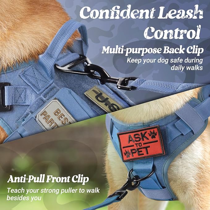 rabbitgoo Tactical Dog Harness for Small, Heavy Duty Military No Pull Vest | Sturdy Metal Buckles, 5 Adjustments, Molle System, Powerful Pullers for Training, Hunting, Outdoor, Blue, Small